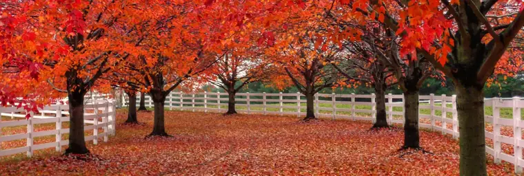 Colts Neck, NJ