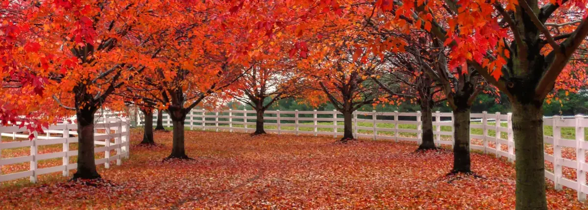 Colts Neck, New Jersey